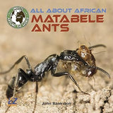 All about African Matabele Ants