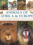 Animals of Africa and Europe: A Visual Encyclopedia of Amphibians, Reptiles and Mammals in the Asian and Australasian Continents, with over 350 Illustrations