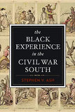 The Black Experience in the Civil War South
