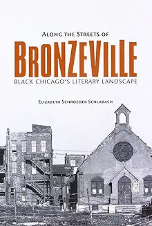 Along the Streets of Bronzeville: Black Chicago's Literary Landscape