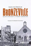 Along the Streets of Bronzeville: Black Chicago's Literary Landscape