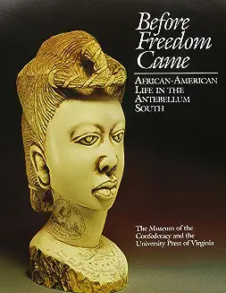 Before Freedom Came: African-American Life in the Antebellum South