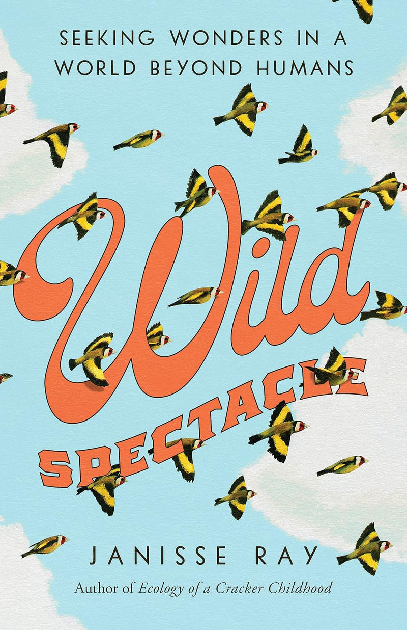 Wild Spectacle: Seeking Wonders in a World beyond Humans (Hardcover)