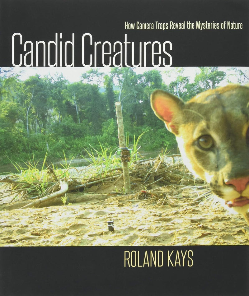 Candid Creatures: How Camera Traps Reveal the Mysteries of Nature