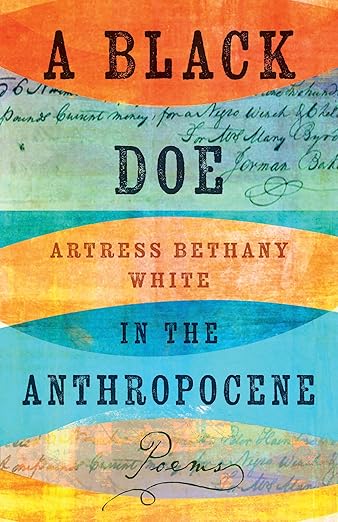 A Black Doe in the Anthropocene: Poems (Hardcover)