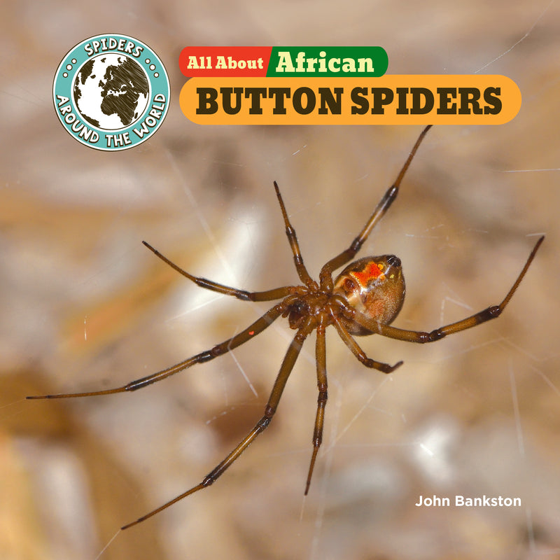 All about African Button Spiders