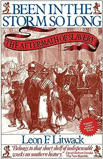 Been in the Storm So Long: The Aftermath of Slavery