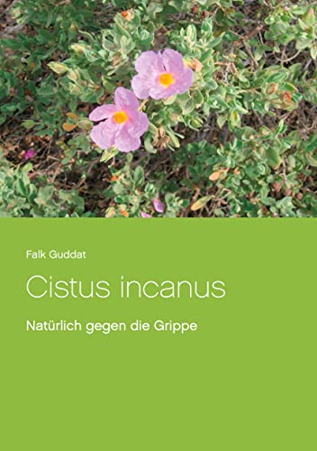 Cistus incanus: Natürlich gegen die Grippe