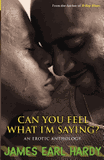 Can You Feel What I'm Saying?: An Erotic Anthology