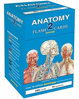 Anatomy 2 Flash Cards QuickStudy Reference Tool