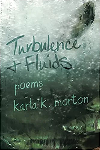Turbulence & Fluids: poems
