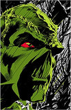 Absolute Swamp Thing by Len Wein and Bernie Wrightson