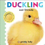 Duckling and Friends ( Baby Touch and Feel )