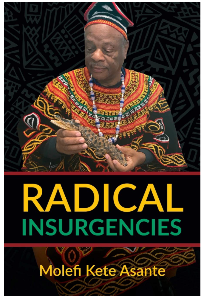RADICAL INSURGENCIES