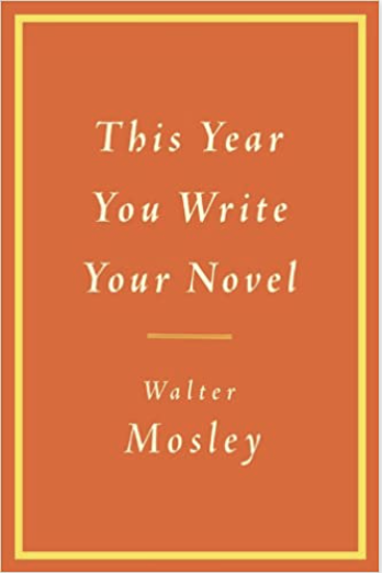 THIS YEAR YOU WRITE YOUR NOVEL