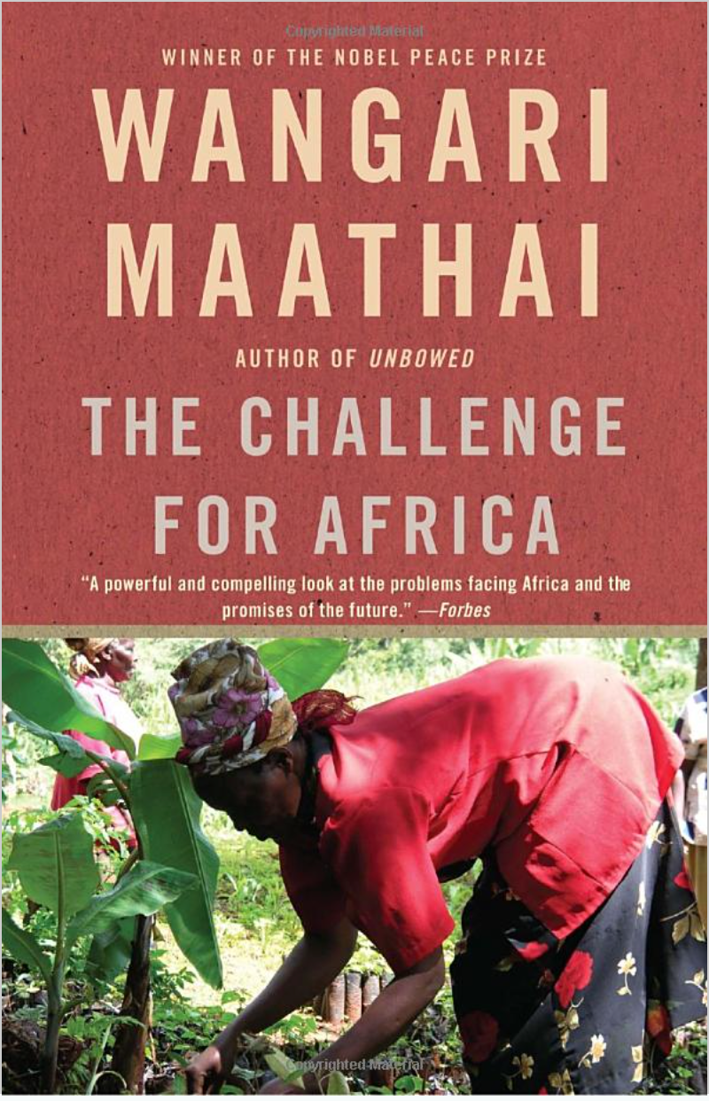 THE CHALLENGE FOR AFRICA