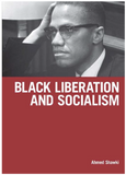BLACK LIBERATION AND SOCIALISM