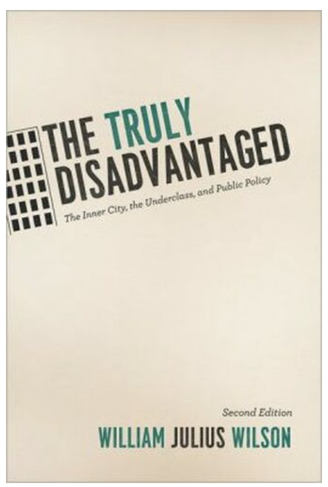 THE TRULY DISADVANTAGED: THE INNER CITY, THE UNDERCLASS, AND PUBLIC POLICY (2ND ED.)