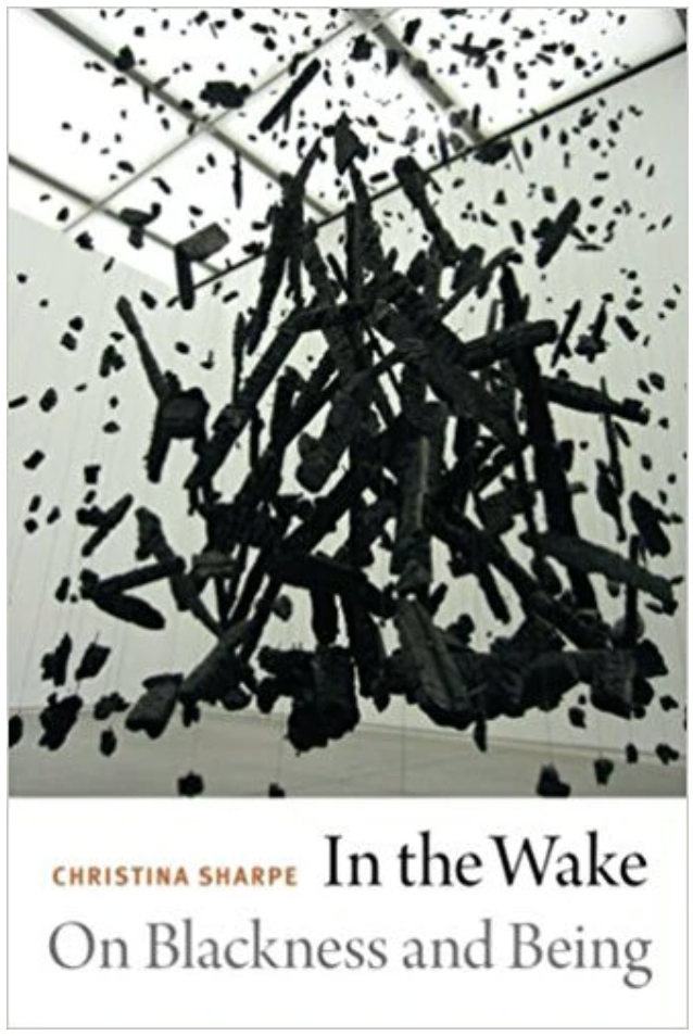 IN THE WAKE: ON BLACKNESS AND BEING