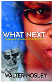WHAT NEXT: AN AFRICAN AMERICAN INITIATIVE TOWARD WORLD PEACE (COMING SOON)