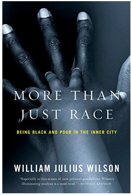MORE THAN JUST RACE: BEING BLACK AND POOR IN THE INNER CITY