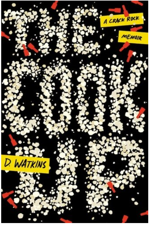 THE COOK UP: A CRACK ROCK MEMOIR