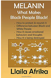 Melanin: What Makes Black People Black x 12