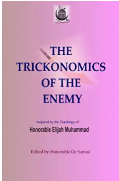 Trickonomics of the Enemy: Challenging the Man