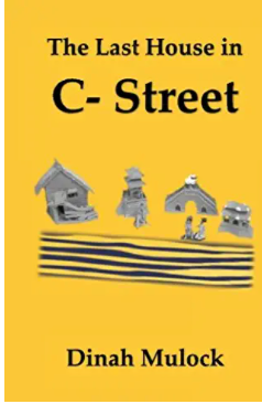 The Last House in C- Street