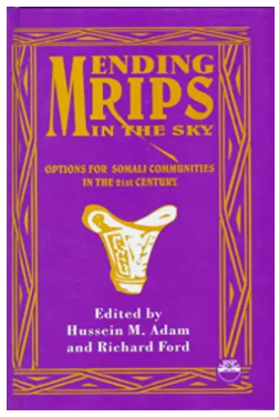 Mending Rips in the Sky: Options for Somali Communities in the 21st Century