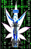 THE CANNABIS MATRIX (The Seshat Appendix): A Trilogy of Selected Essays of Ioannes, the Composer