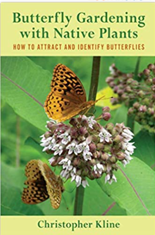 Butterfly Gardening with Native Plants: How to Attract and Identify Butterflies