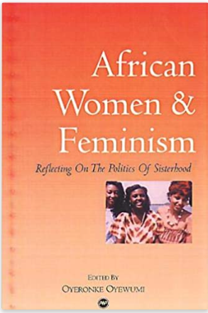African Women and Feminism: Reflecting on the Politics of Sisterhood