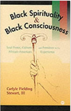 Black Spirituality and Black Consciousness: Soul Force, Culture and Freedom in the African-American Experience