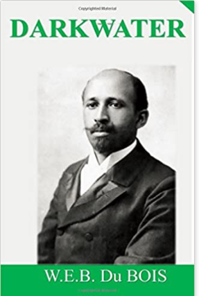 Darkwater: Voices from within the Veil