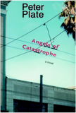 Angels of Catastrophe: A Novel