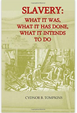 Slavery: What It Was, What It Has Done, What It Intends to Do (African Tree Press Pamphlet Series)