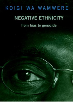 Negative Ethnicity: From Bias to Genocide (Open Media)
