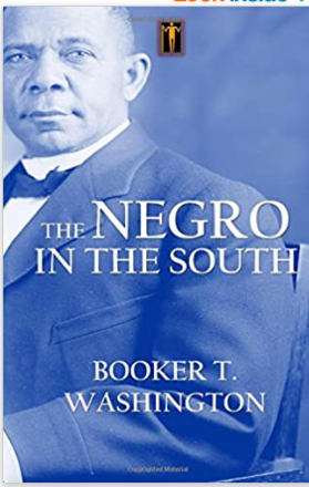 The Negro in the South