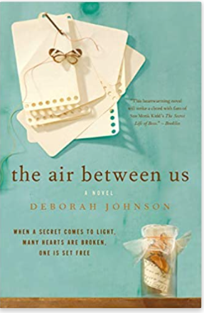 The Air Between Us: A Novel