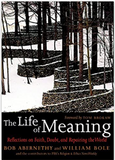 The Life of Meaning: Reflections on Faith, Doubt, and Repairing the World