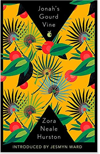 Jonah's Gourd Vine (Virago Modern Classics)