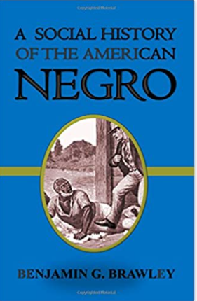 A Social History of the American Negro